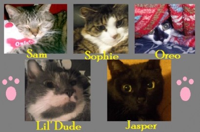 Feline Breakfast Club