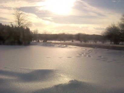 shiny snow