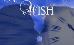 The Accidental Wish - small cover