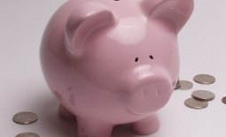 piggy bank